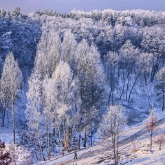 Коли пАморозь ранкова настає, люде чомусь радіють, а потім зітхають і йдуть - кожен по щось своє.