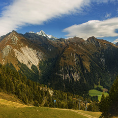 Гаї шумлять – я слухаю. Хмарки біжать – милуюся. Милуюся-дивуюся, чого душі моїй так весело.