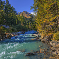 Вечір опускається, начче як свято наближається.