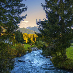 Життя на землі без корів було б набагато важчим.