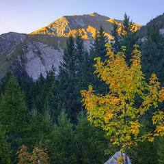 Сонце низенько, осінь близенько, спішу до тебе, моє серденько.