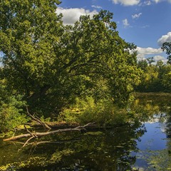 Літо триває на річці Коник.