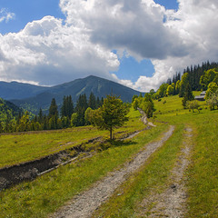 Дорога літня після дощу на Чорногору повз Смотрич пролягла.