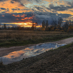 Дорога в осінь пролягла у полях край села. (Свиня свою калюжу знайде)))).