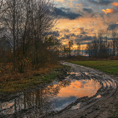 Вітер віє, вітер віє, серце плаче, серце мліє на околиці села.