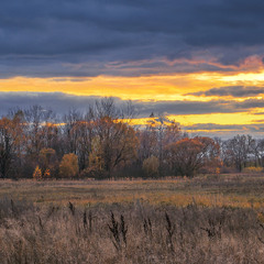 А я собі гуляю як рибка по Дунаю.