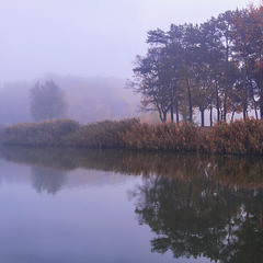 Буває восени просто і сумно. В тумані зранку.