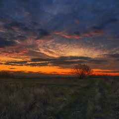 Допоки сонце сяє, поки дорога є, о-о, - й надія є.