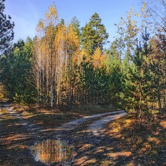 В точках біфуркації чи найтяжче - вчинити вірний вибір: один крок - і ти вже в іншому жолобі долі!