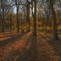 Як сніги упадуть, головов наложим, не будем співати вже тут.