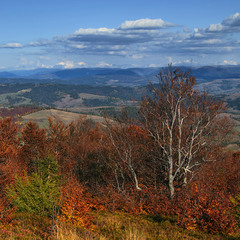 Кольорова осінь в горах догорає.