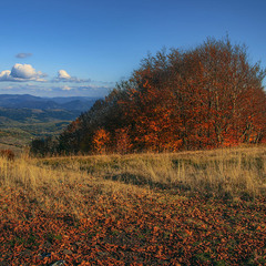 На горі Ряпецька є чудове місце для споглядання червоних лісів, синіх гір і жовтих трав увечері.