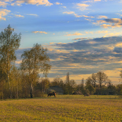 Сонце сідає, хмари пливуть, коні харчуються, дерева зеленіють - робота є усім в квітні на околиці.