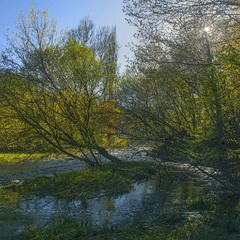 Радісний квітневий вечір опускається на річку Тетерів з молоденьким листячком навкруги сьОроку.