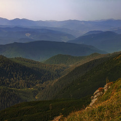 Допитливий погляд з Чорногори на Мармароси бачив зранку: вітер віє-повіває – серце з жалю завмирає.