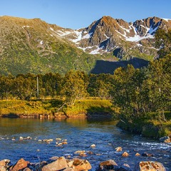 Тече рі-і-чка невеличка з вишневого са-а-а-ду - повз зелену траву по камінню