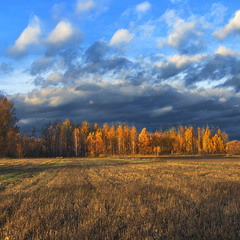 У полях край села вітер хмари роздуває. Сонечко ховається за небокрай.