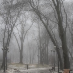 Зима туманная VIII