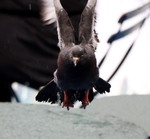 просто на мене