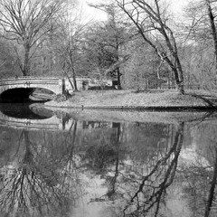 Озеро в Проспект-парке, Бруклин, Нью-Йорк