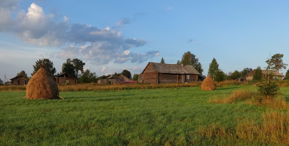 Панорама сел. Деревня 1990 сенокос. Русская деревня сенокос. Панорама деревни. Панорама деревни летом.