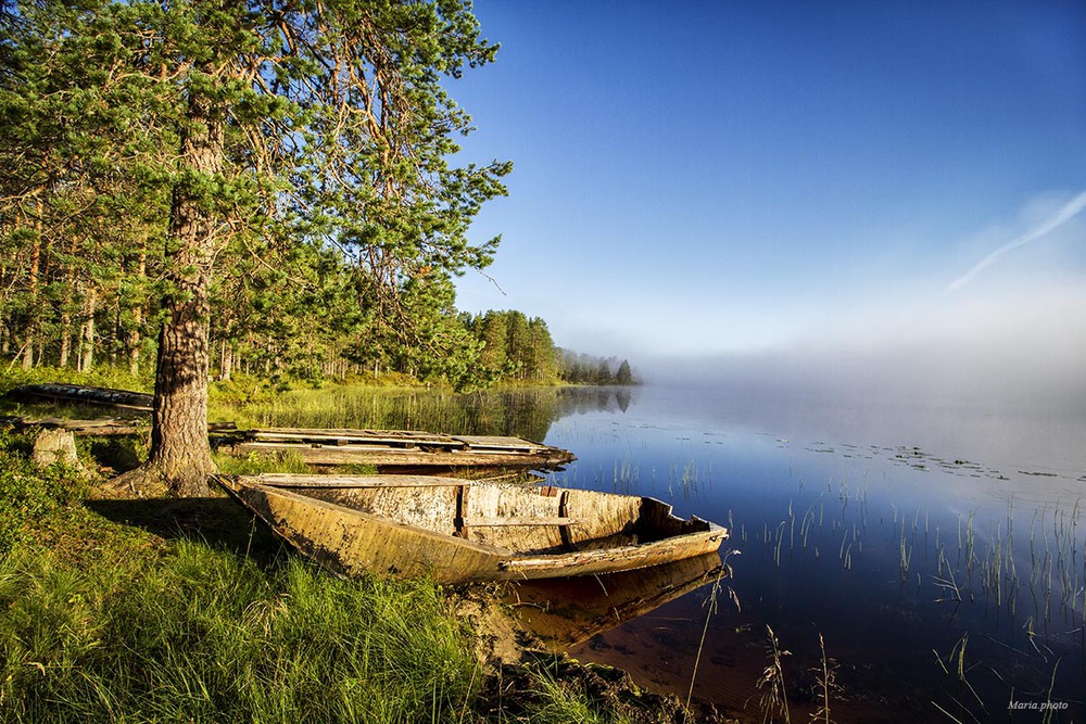 Природа Карелии в августе