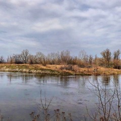 Зима прийшла