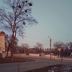 Колесо Сансари