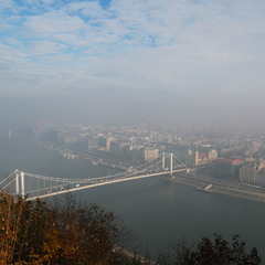 Туманный день на Дунае #2