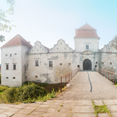 Туманный Свиржский замок