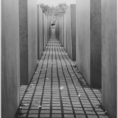 Берлин "Мемориал жертвам Холокоста"