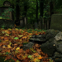 Старое кладбище..