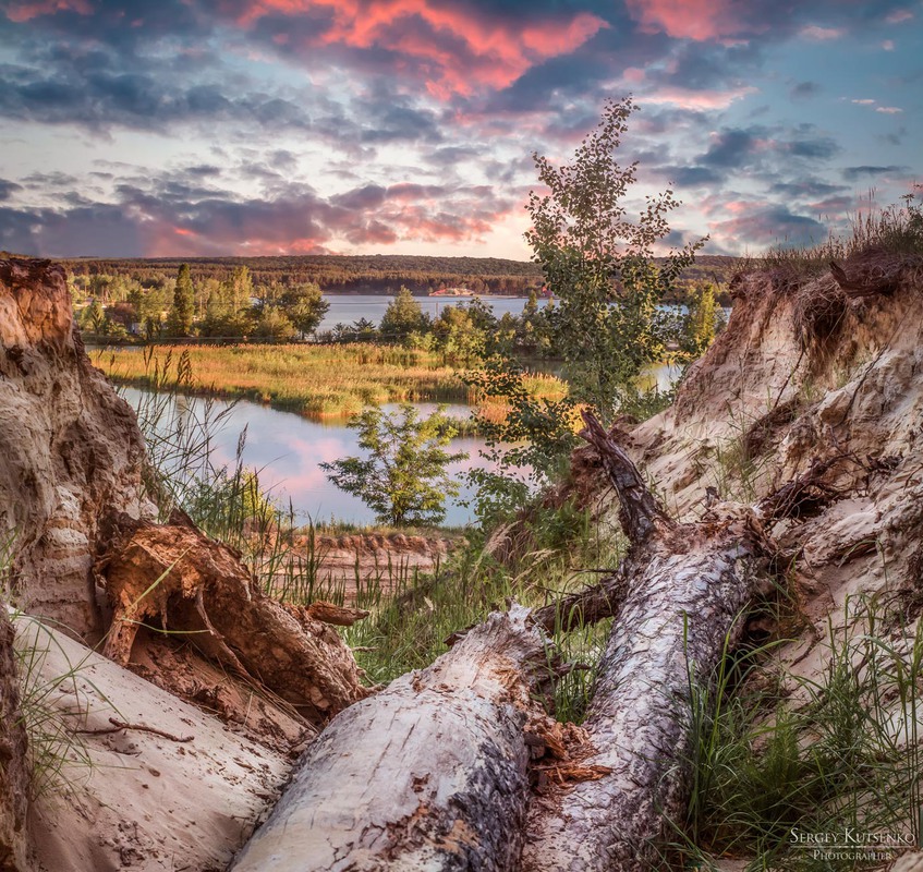 Фотографія Улитка на склоне / Сергей Куценко / photographers.ua
