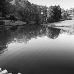 Pond in Brookside Gardens