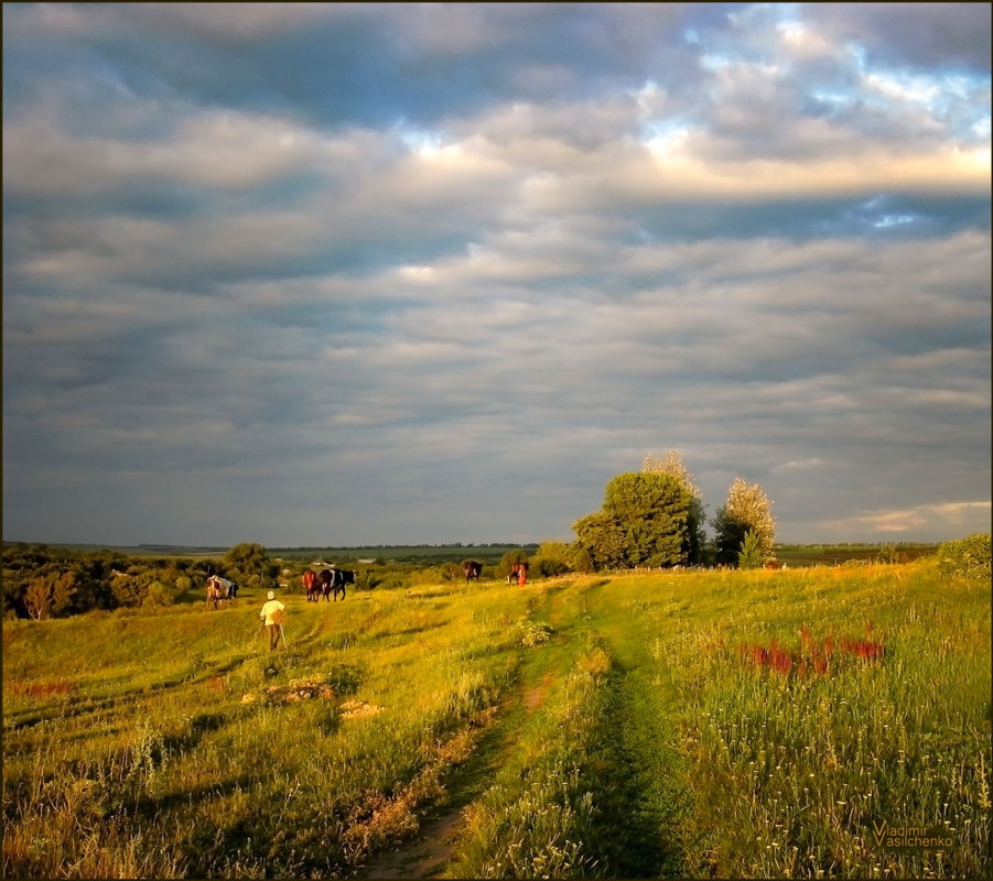 Слушать хутора. Хутора на Руси. Красивые картинки хутора. Пейзаж Хутор фото. Деревня Васильченко.