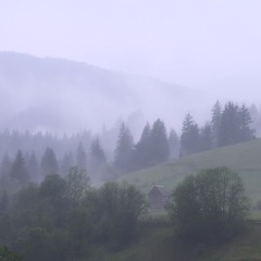Morning in Carpathian mountains