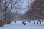 Перший сніг 2016