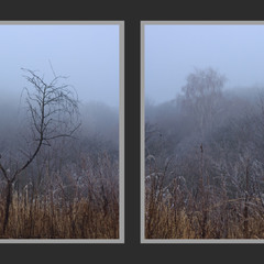 Іній, легкий, сон