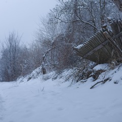 Штахети віялом