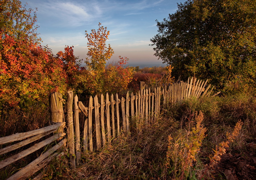 �������� �������� � �������� ��������� � ������ �����