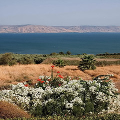 Возле Галилейского моря