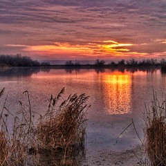 Незвичайна зимова дзеркалочка