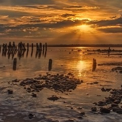 Осіння позолота