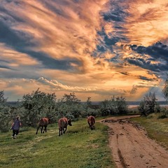 Шлях до жовто-блакитного неба !!! .