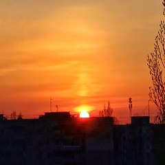 Ранковий термогриб