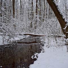 Віддзекалення зими.