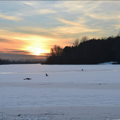 Прогулянка по кризі.