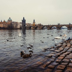 Прага в январе
