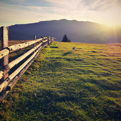 З мого краю