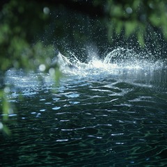 River splash